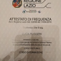 Ingrandire l'immagine: certificate 5