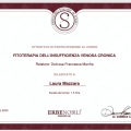 Ingrandire l'immagine: certificate 41