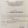 Ingrandire l'immagine: certificate 1