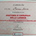 Ingrandire l'immagine: certificate 11