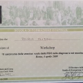 Ingrandire l'immagine: certificate 33