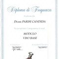 Ingrandire l'immagine: certificate 9