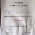 Ingrandire l'immagine: certificate 2