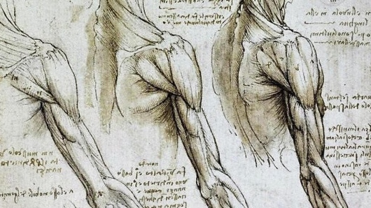 Federico Maria Grimaldi-1