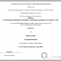 Ingrandire l'immagine: certificate 20