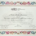 Ingrandire l'immagine: certificate 13