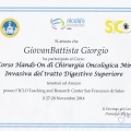 Ingrandire l'immagine: certificate 4