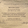 Ingrandire l'immagine: certificate 11