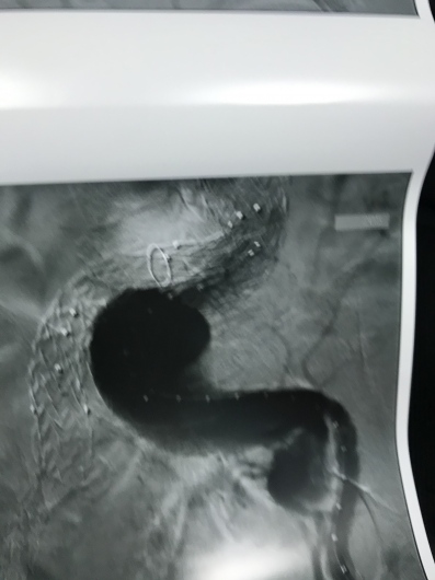 Mario De Laurentis-5