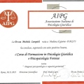 Ingrandire l'immagine: certificate 13