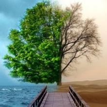 Ingrandire l'immagine: Francesco Conti, psicologo Messina