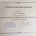 Ingrandire l'immagine: certificate 5