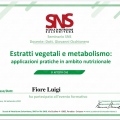 Ingrandire l'immagine: certificate 10
