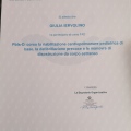 Ingrandire l'immagine: certificate 1