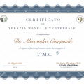 Ingrandire l'immagine: certificate 2