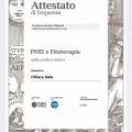 Ingrandire l'immagine: certificate 21