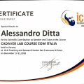 Ingrandire l'immagine: certificate 1
