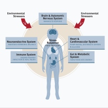 Alint Logopedia Integrata