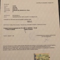 Ingrandire l'immagine: certificate 3