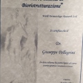 Ingrandire l'immagine: certificate 3