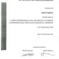 Ingrandire l'immagine: certificate 6