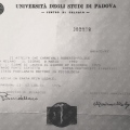 Ingrandire l'immagine: certificate 2