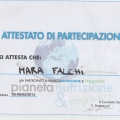 Ingrandire l'immagine: certificate 6