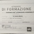 Ingrandire l'immagine: certificate 15