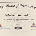 Ingrandire l'immagine: certificate 9