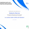 Ingrandire l'immagine: certificate 15