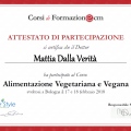Ingrandire l'immagine: certificate 1