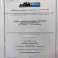 Ingrandire l'immagine: certificate 13