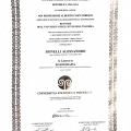 Ingrandire l'immagine: certificate 3