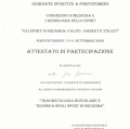 Ingrandire l'immagine: certificate 4