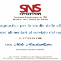 Ingrandire l'immagine: certificate 7