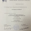 Ingrandire l'immagine: certificate 2