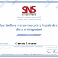 Ingrandire l'immagine: certificate 4