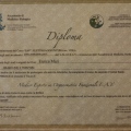 Ingrandire l'immagine: certificate 5