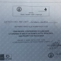 Ingrandire l'immagine: certificate 2