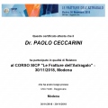 Ingrandire l'immagine: certificate 6