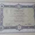 Ingrandire l'immagine: certificate 5