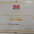 Ingrandire l'immagine: certificate 11