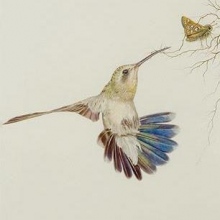 Ingrandire l'immagine: Monica Minotti, osteopata Milano