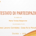 Ingrandire l'immagine: certificate 15