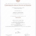 Ingrandire l'immagine: certificate 8