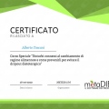 Ingrandire l'immagine: certificate 13