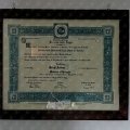 Ingrandire l'immagine: certificate 1