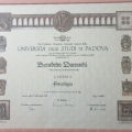 Ingrandire l'immagine: certificate 6