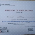 Ingrandire l'immagine: certificate 26