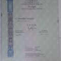 Ingrandire l'immagine: certificate 1